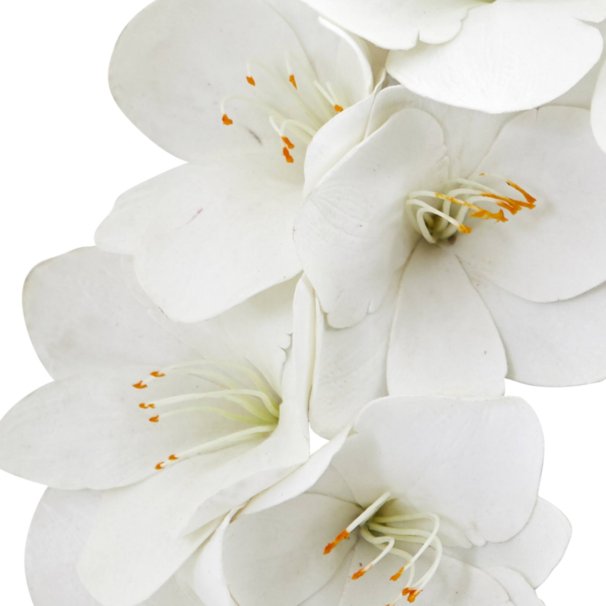 24'' White Amaryllis Wreath